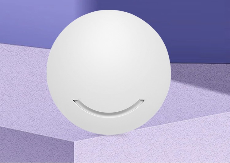 Dual Band Indoor Wireless AP