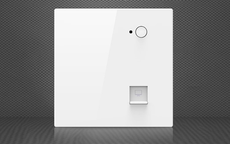 300M Wall Mounted Access Point